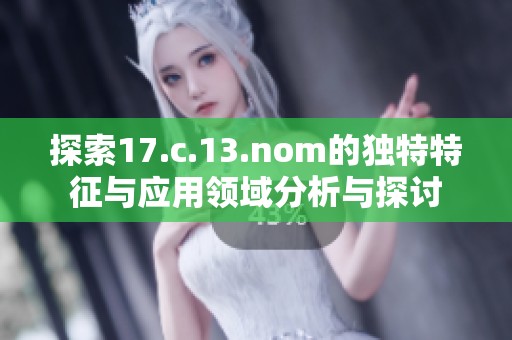 探索17.c.13.nom的独特特征与应用领域分析与探讨