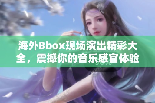 海外Bbox现场演出精彩大全，震撼你的音乐感官体验