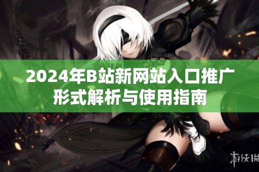 2024年B站新网站入口推广形式解析与使用指南