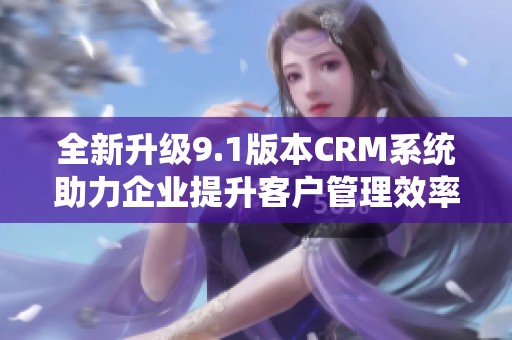 全新升级9.1版本CRM系统助力企业提升客户管理效率