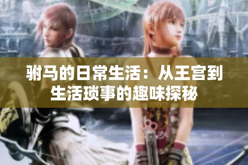 驸马的日常生活：从王宫到生活琐事的趣味探秘