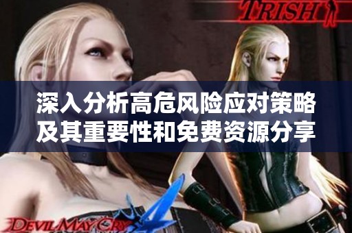 深入分析高危风险应对策略及其重要性和免费资源分享