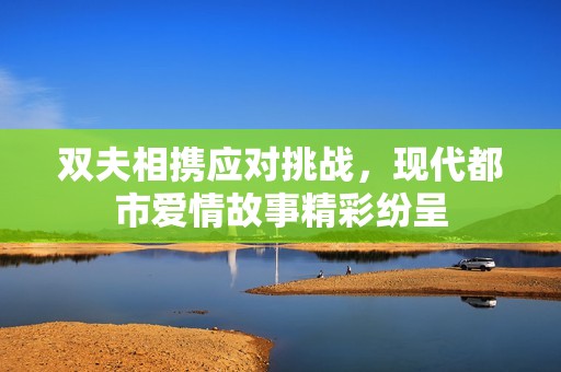 双夫相携应对挑战，现代都市爱情故事精彩纷呈