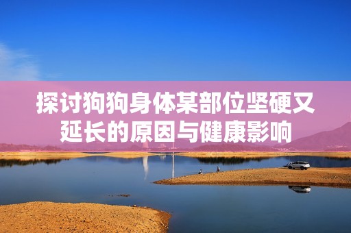 探讨狗狗身体某部位坚硬又延长的原因与健康影响