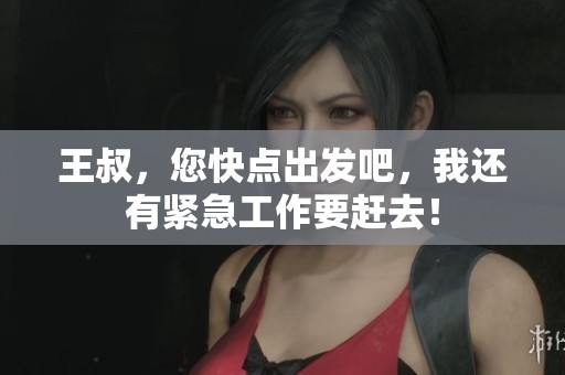 王叔，您快点出发吧，我还有紧急工作要赶去！