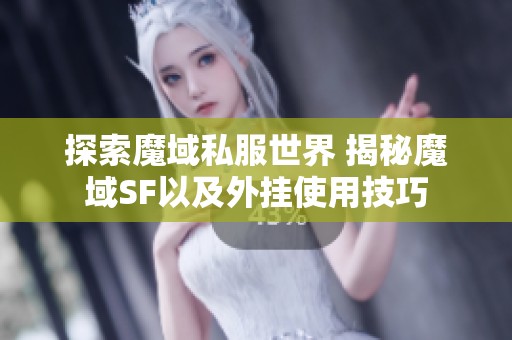 探索魔域私服世界 揭秘魔域SF以及外挂使用技巧