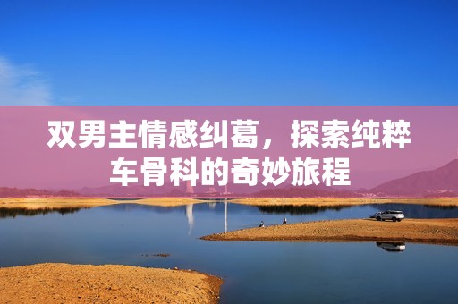 双男主情感纠葛，探索纯粹车骨科的奇妙旅程