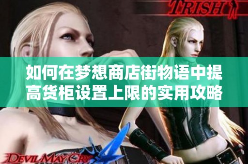如何在梦想商店街物语中提高货柜设置上限的实用攻略