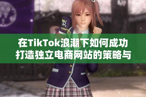 在TikTok浪潮下如何成功打造独立电商网站的策略与实践
