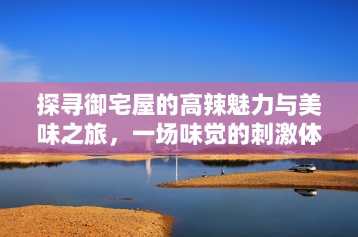 探寻御宅屋的高辣魅力与美味之旅，一场味觉的刺激体验