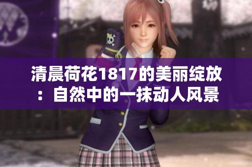 清晨荷花1817的美丽绽放：自然中的一抹动人风景