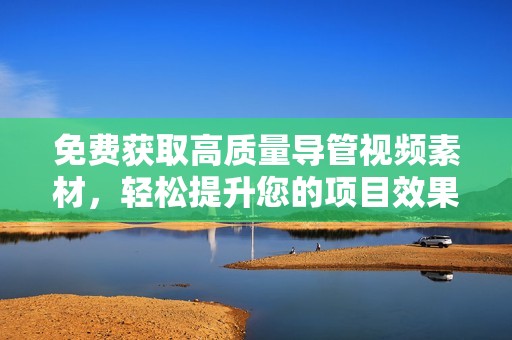 免费获取高质量导管视频素材，轻松提升您的项目效果