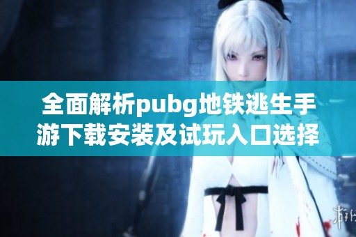 全面解析pubg地铁逃生手游下载安装及试玩入口选择指南