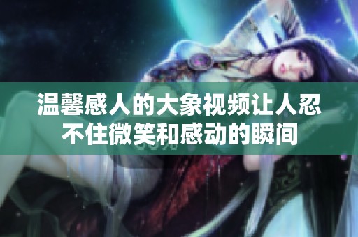 温馨感人的大象视频让人忍不住微笑和感动的瞬间